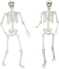 Lifesize 5.4ft Halloween Skeletons 2 Pack - Poseable Full Body Decor