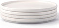 Unique AmorArc Stoneware Dinner Plates Set of 4 for Modern Dining