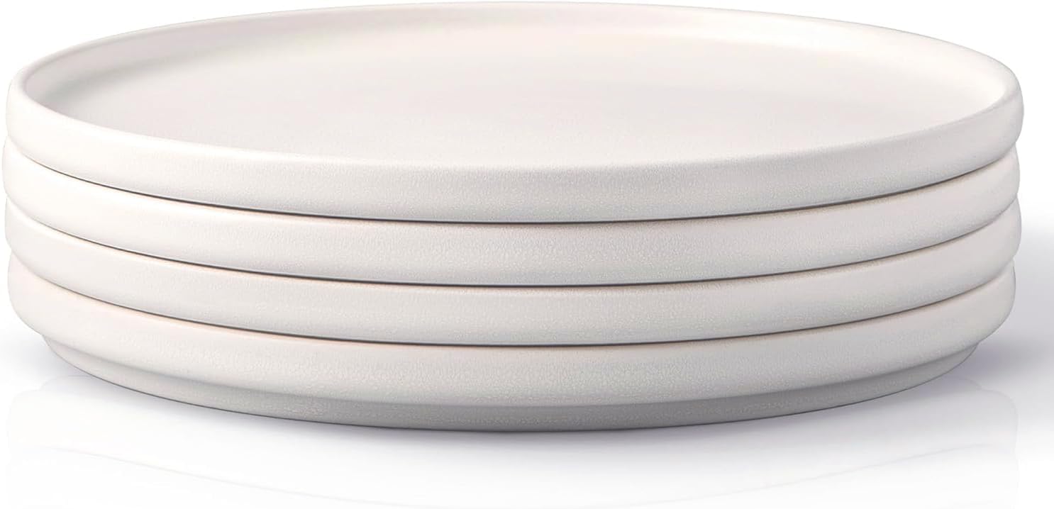 Unique AmorArc Stoneware Dinner Plates Set of 4 for Modern Dining