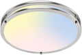 libtit 16in Flush Mount Ceiling Light - Bright, Dimmable 36W