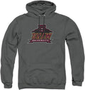 Official Collegiate Hoodie in Distressed Look for Sports Fans
