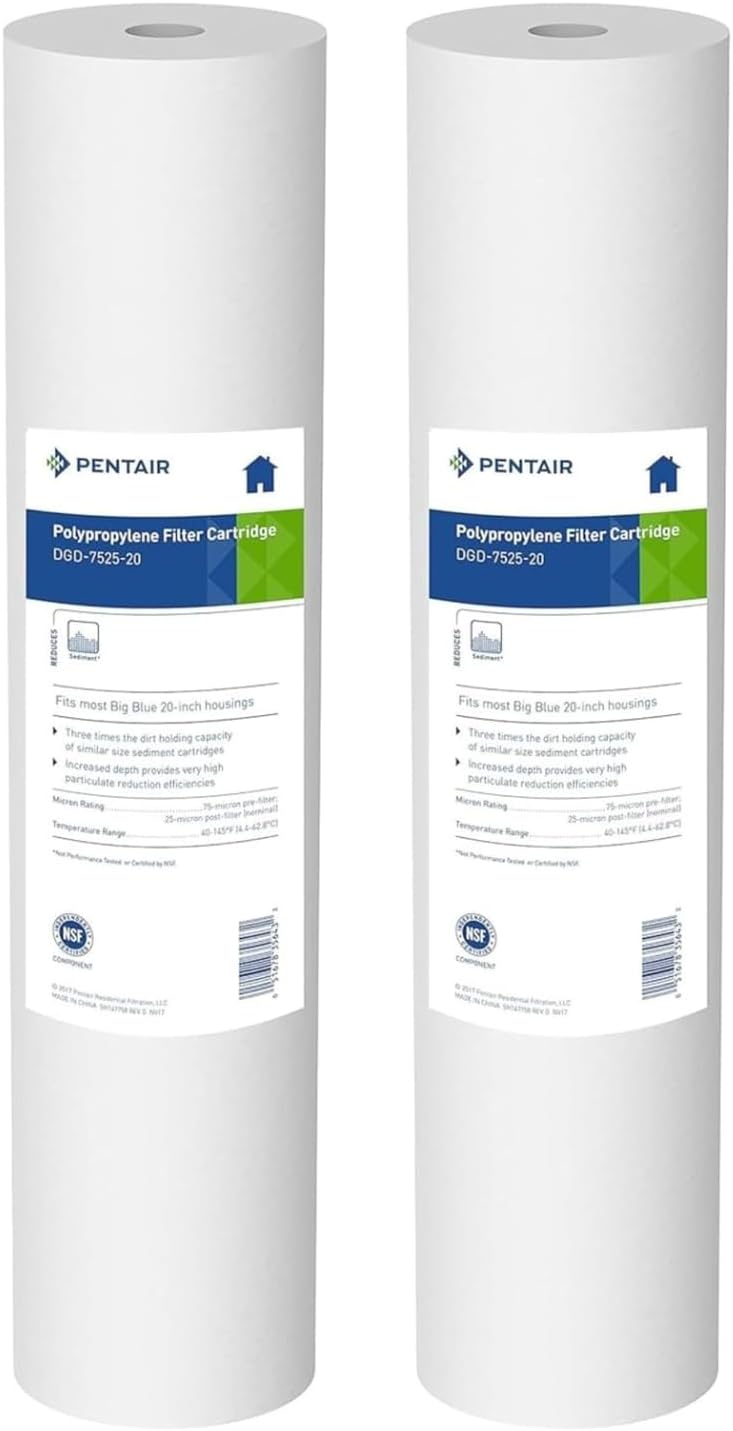 Pentair DGD-7525-20 Big Blue Water Filter for Clean Water