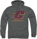 LOGOVISION Collegiate Distressed Primary Logo Pullover Hoodie CENTRAL