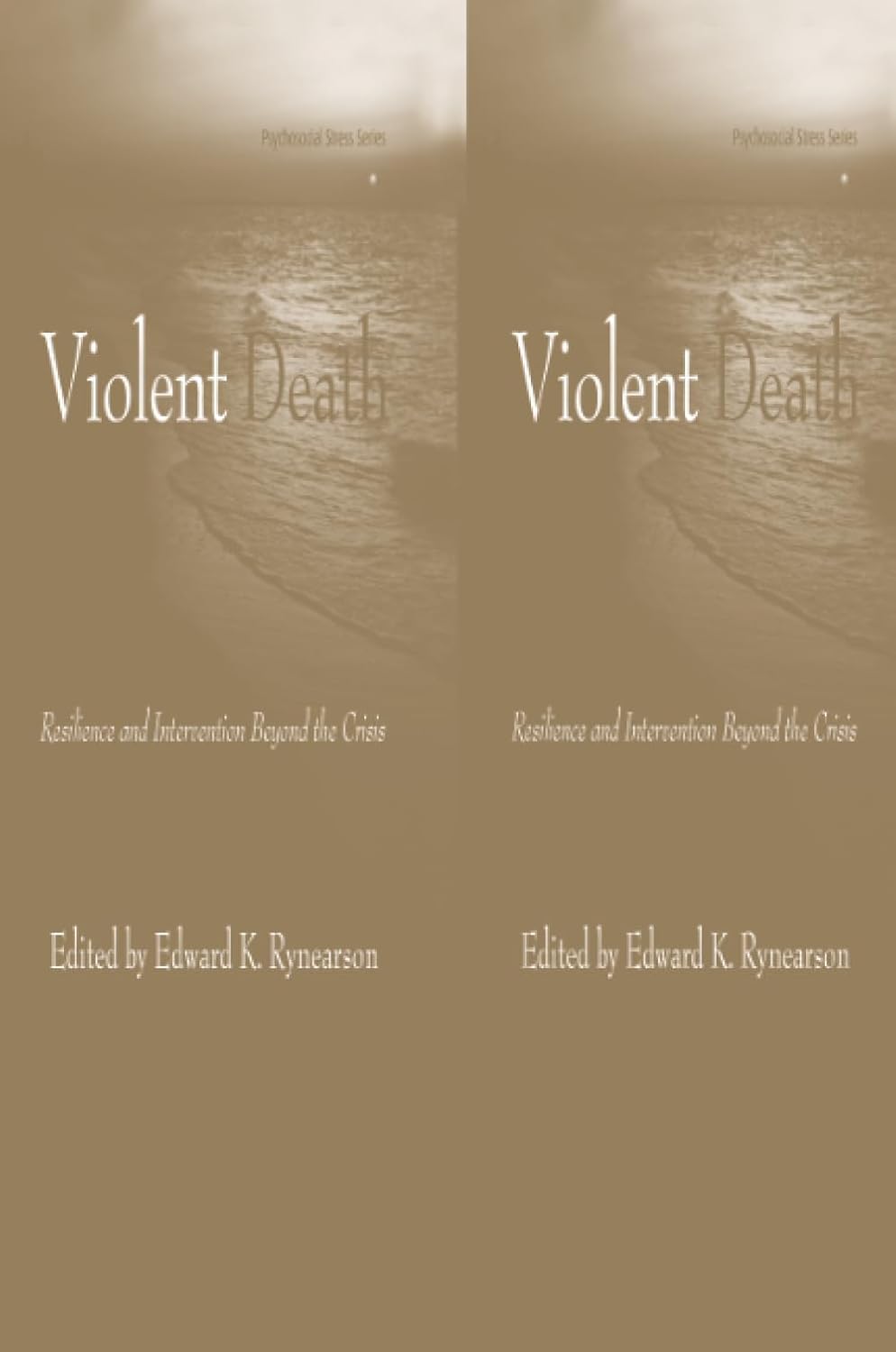 Violent Death: Understanding Grief and Psychosocial Stress