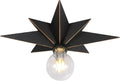 16 inch Industrial Black Metal Star Ceiling Light Fixture
