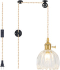 Plug in Pendant Light Fixtures Vintage Glass Tulip Pendant - Retro