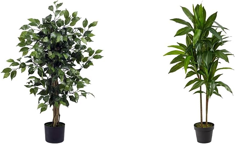 Ficus Silk Artificial Tree and Dracaena Plant for Home Decor