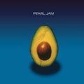 Pearl Jam CD - Rich Sound and Emotional Rock Performance