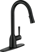 Moen Adler Matte Black High Arc Kitchen Faucet - Power Clean