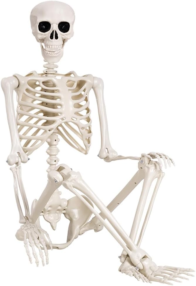 5.4 ft Halloween Skeleton - Life Size Human Skeleton for Decor