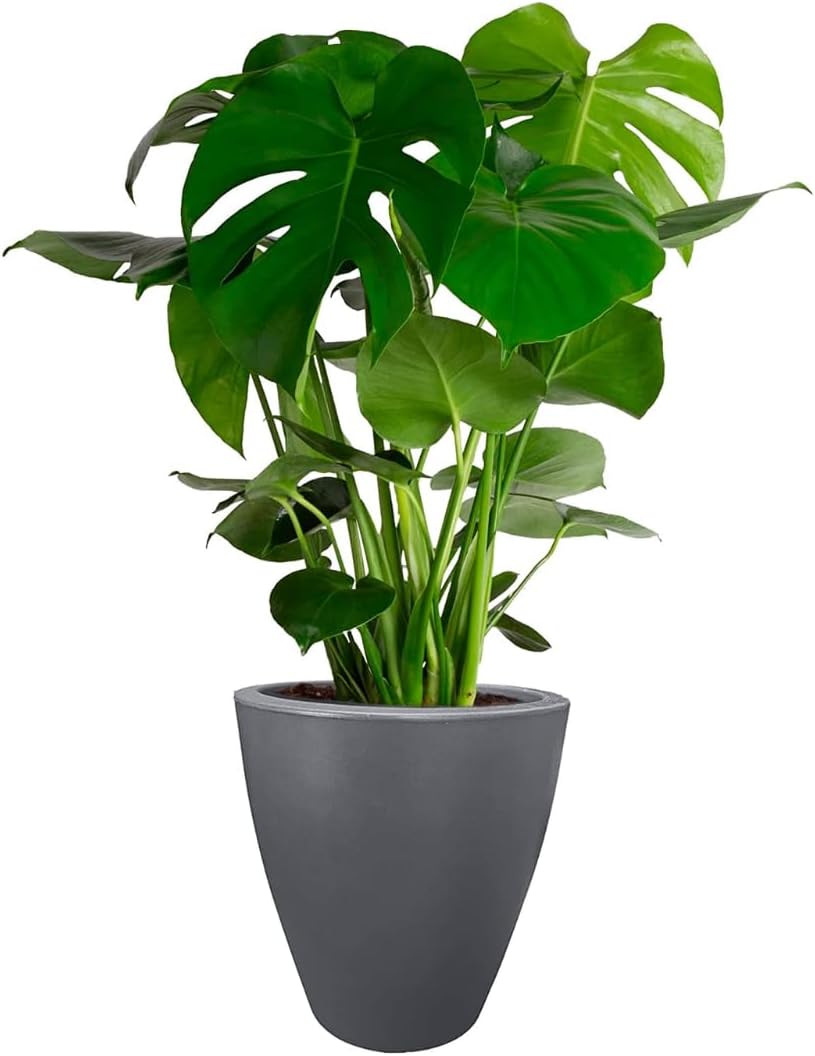 Elly Decor 17 inch Planter for Garden with Drainage and Durability