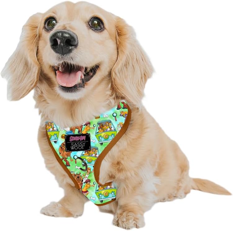 Dog Adjustable Harness - Scooby-DooTM - Perfect for Small Dogs