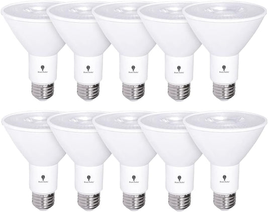 10 Pack PAR30 Outdoor LED Flood Light Bulbs for Security Use