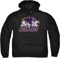 LOGOVISION Collegiate Distressed Primary Logo Pullover Hoodie This