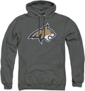 Unisex Distressed Primary Logo Pullover Hoodie - Official