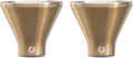 SNOWFOX Premium Vacuum Insulated Martini Glass Set for Icy Drinks