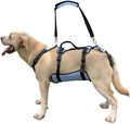 Coodeo Dog Lift Harness Full Body Support & Recovery Sling - Senior