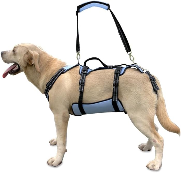 Coodeo Dog Lift Harness for Old Dogs with Arthritis Support