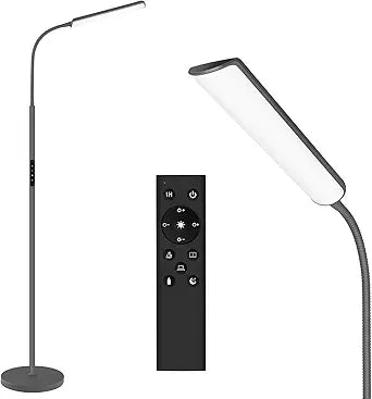 Dimunt LED Floor Lamp for Living Room with Remote Control