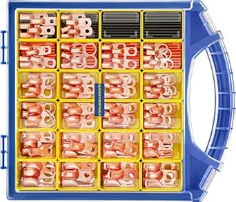 Haisstronica 220PCS Battery Cable Ends Kit for Heavy Duty