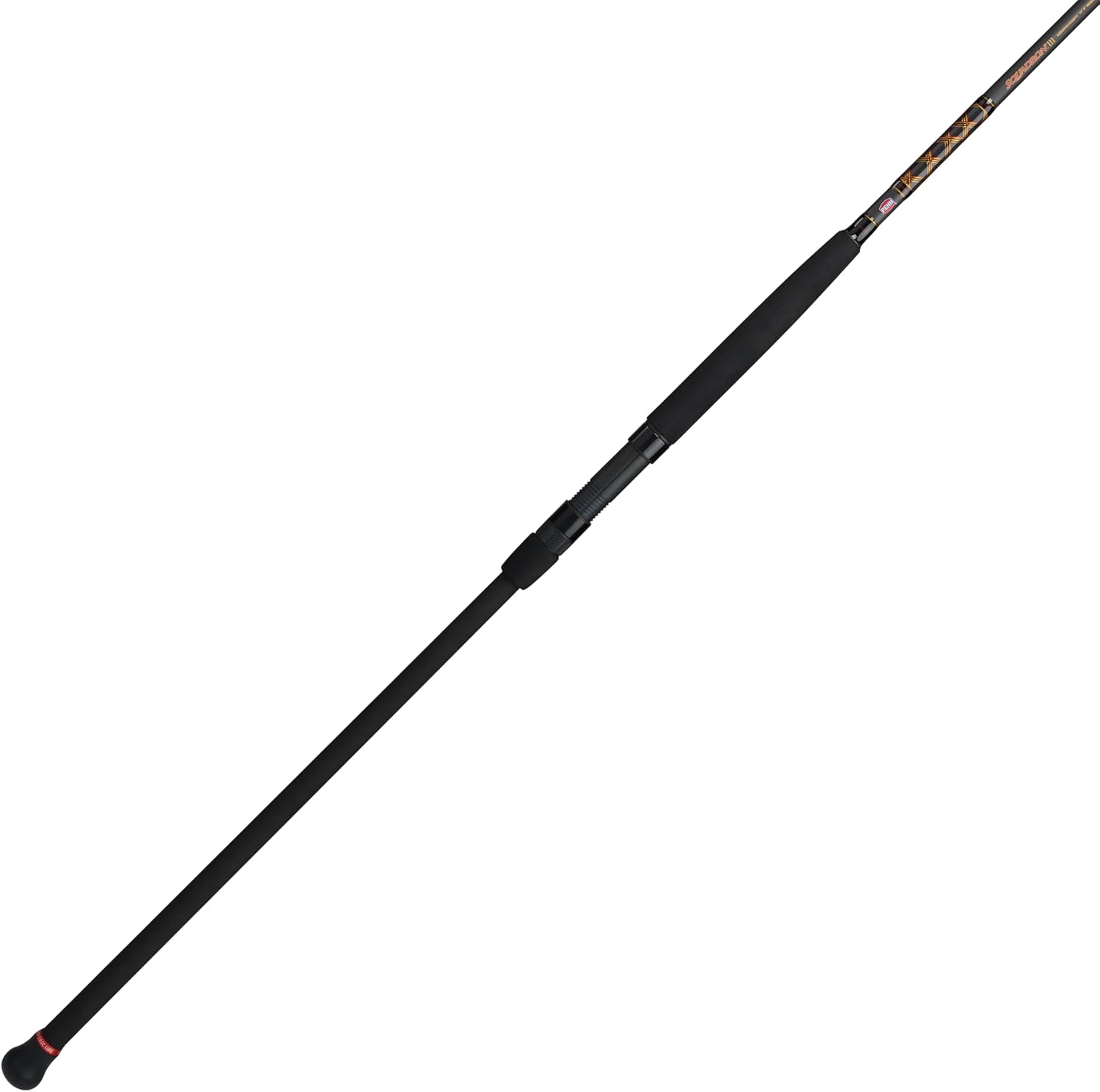 PENN Squadron III Surf Spinning Fishing Rod for Anglers