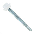 Fasteners Plus ST Fastening Maxx SteelBinder #12 x 2 Screws - Roofing