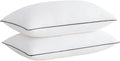 Cooling Bed Pillows for Sleeping - Luxury Hotel Quality Queen (2 Pack)