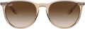 Ray-Ban Women's Rb4171 Erika Round Sunglasses - Classic Black Forest