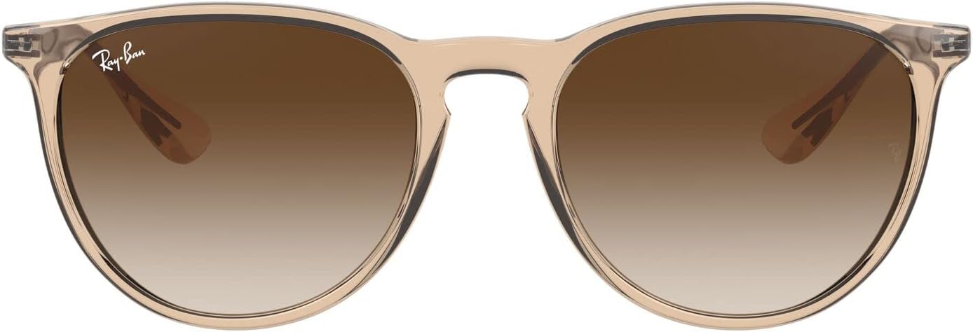 Ray-Ban Rb4171 Erika Round Sunglasses with UV Protection