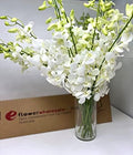 Premium Cut White Orchids (20 stems with Vase) - Fresh Farm Delivery