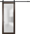 SARTODOORS Sliding Barn Lite Glass Door with Modern Design