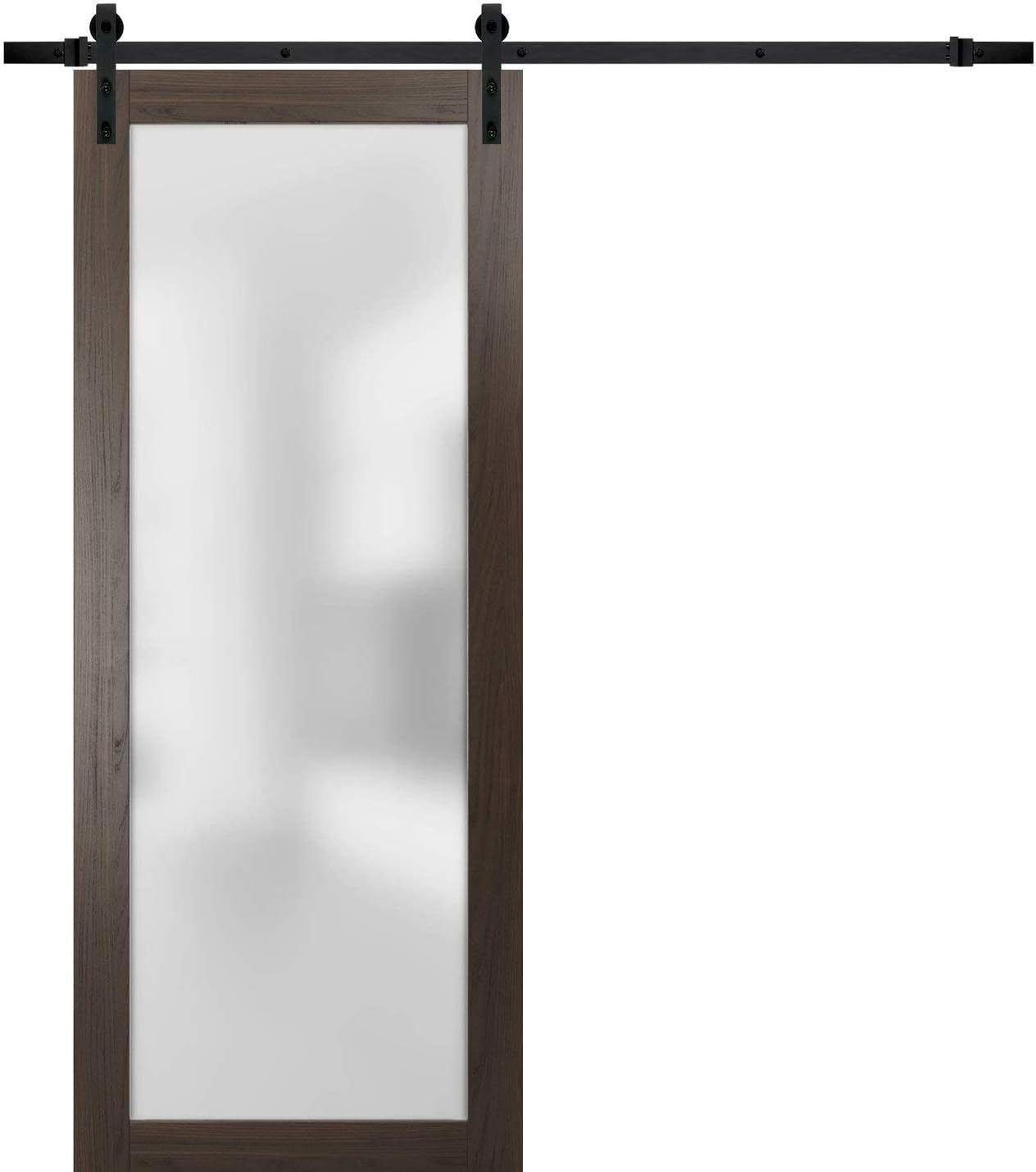 SARTODOORS Sliding Barn Lite Glass Door with Modern Design