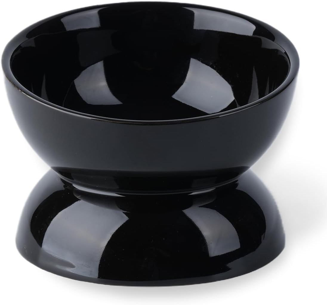 Anti-Vomiting Ceramic Cat Bowl, 15 Tilt, Spine Protection