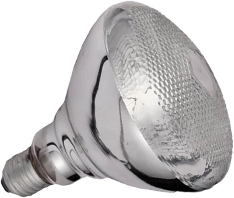 250W Infrared Heat Lamp Bulb for Superior Food Warming by KOUWO