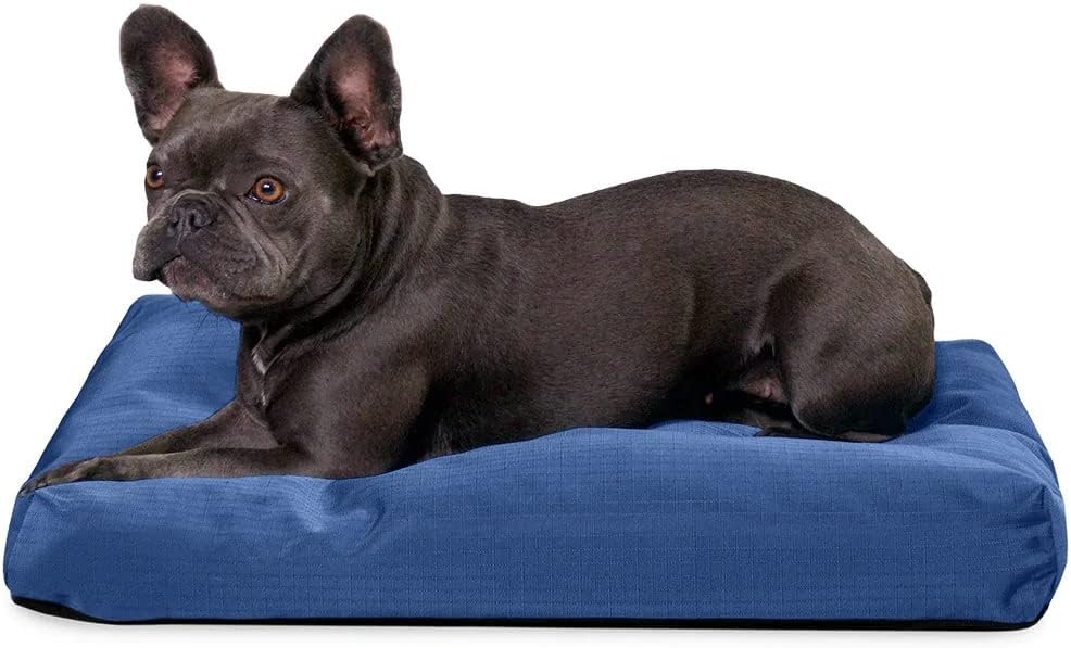 K9 Ballistics Tough Rectangle Pillow Small Dog Bed for Comfort