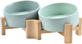 SPUNKYJUNKY Slanted Ceramic Dog and Cat Bowl with Stand
