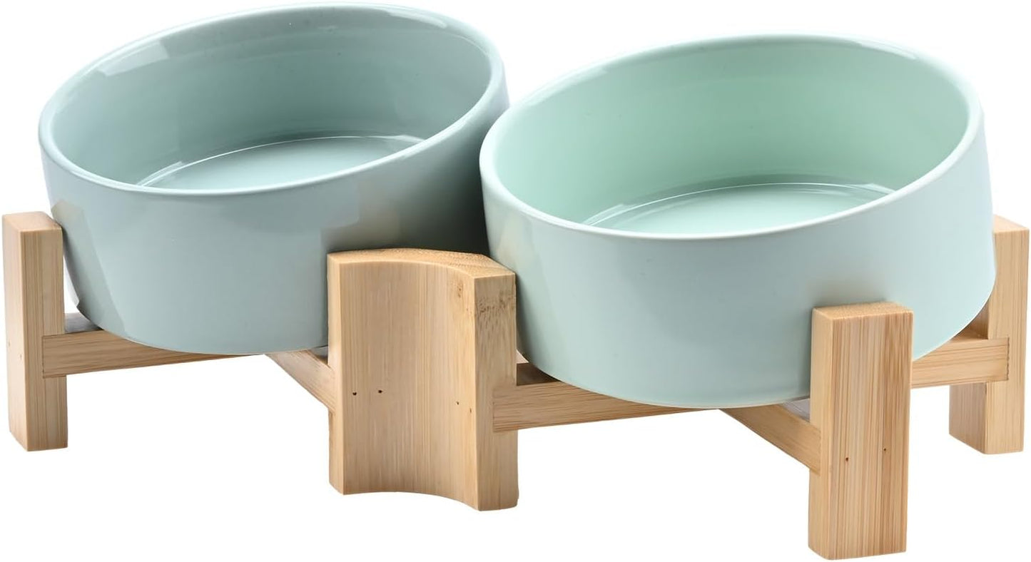 SPUNKYJUNKY Slanted Ceramic Dog and Cat Bowl with Stand