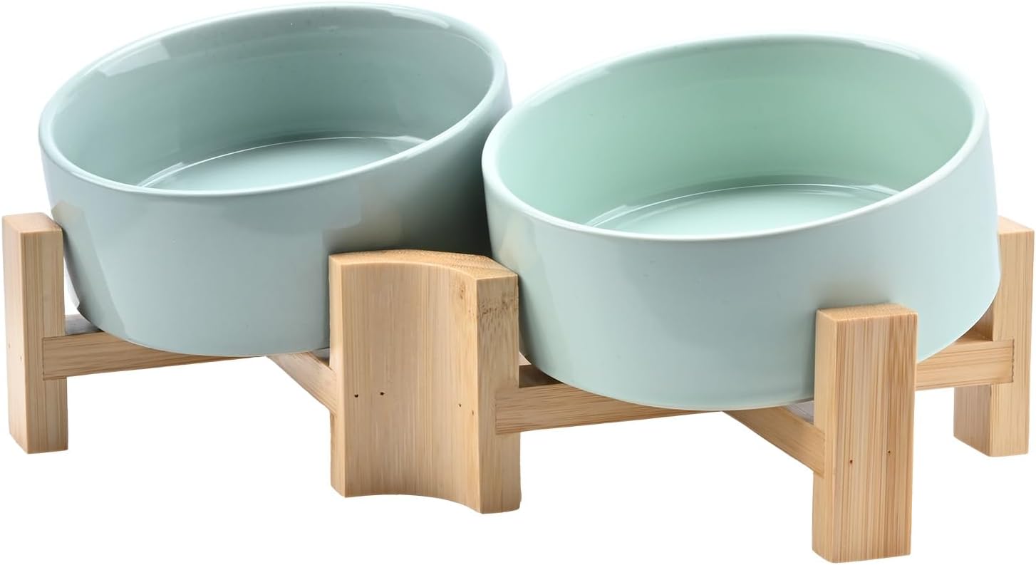SPUNKYJUNKY Slanted Ceramic Dog and Cat Bowl with Stand