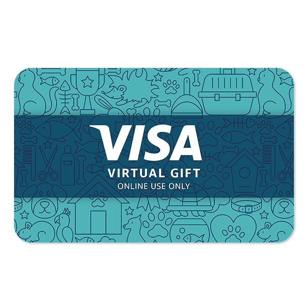Visa Virtual $100 eGift Card for Online Use with Purchase Fee
