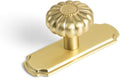Elegant Golden Bloom Brushed Brass Cabinet Knobs with Backplate - Set