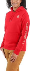 Carhartt Women's Logo Sweatshirt: Relaxed Fit & Plus Sizes