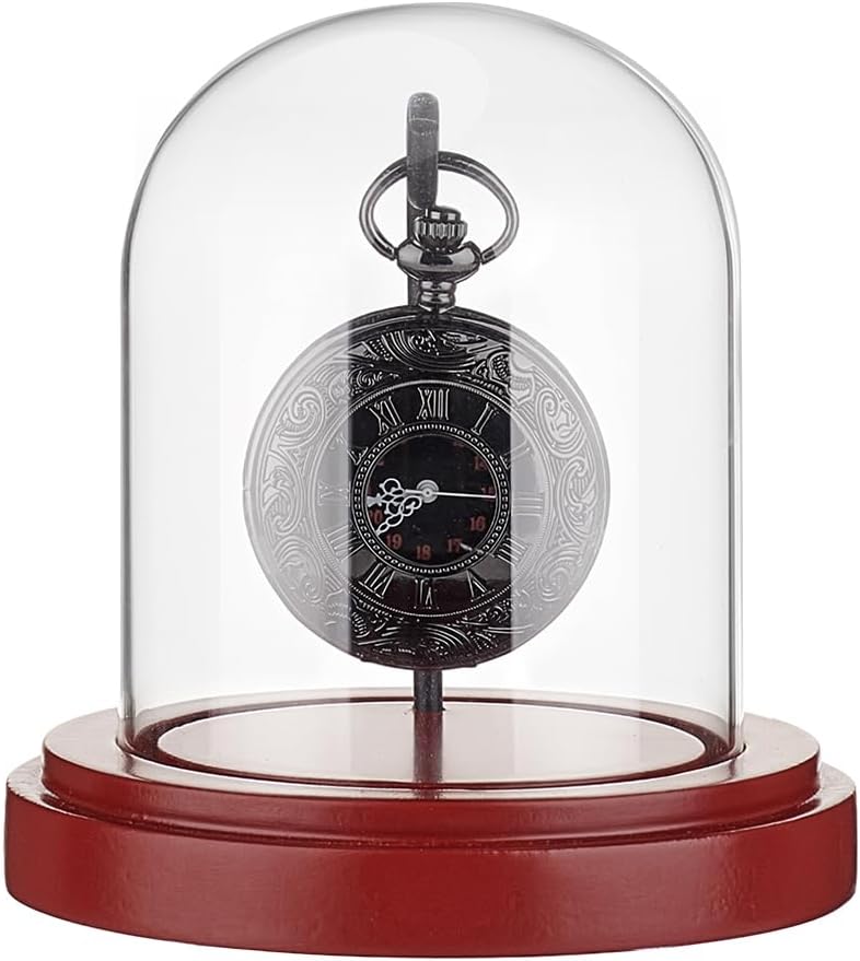 Glass Dome Watch Display Case - PH PandaHall