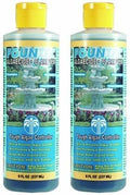 FounTec Algaecide Clarifier 2-Pack - Clear Pond and Fountain Water