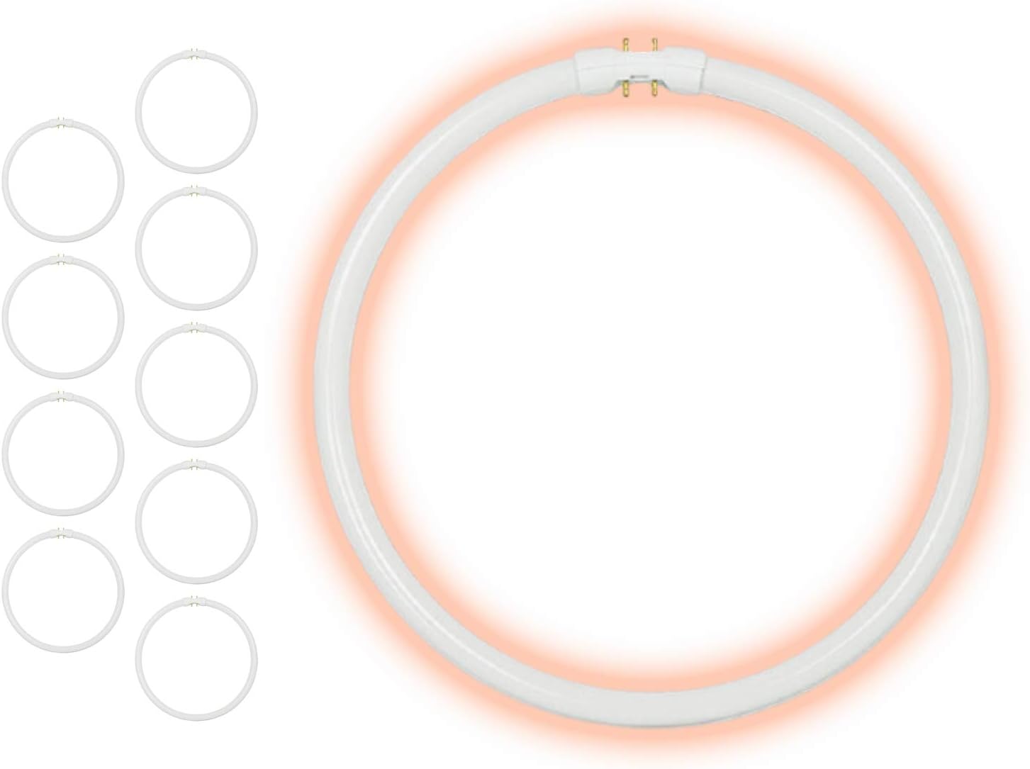 40-Watt 12 Inch T5 Fluorescent Circline Light Bulb - High Output
