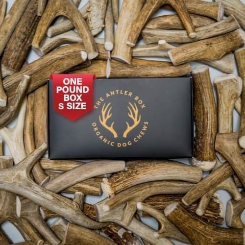 Premium Deer Antler Dog Chews for Healthy Teeth and Gums