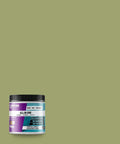 Beyond Paint All-in-One Refinishing Paint, No Sanding - Sage