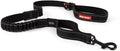 EzyDog Zero Shock Dog Leash - Shock Absorbing 48-in Black