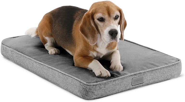Diggs Snooz Memory Foam Dog Bed - Premium Orthopedic Pet Bed