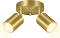 BoostArea LED 2 Light Track Lighting Kit - Adjustable Gold Spot Lights