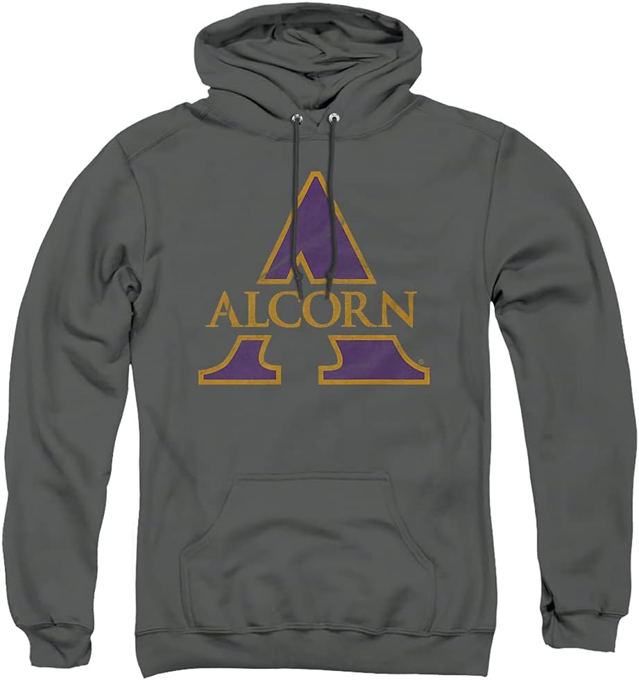 Official Collegiate Distressed Primary Logo Hoodie for Fans